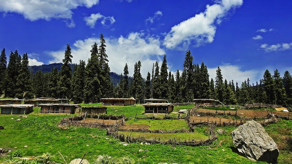 Traditional Village Life of Strawberry valley in gulmarg