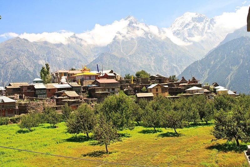 Mountain village with orchards and snow-covered peaks