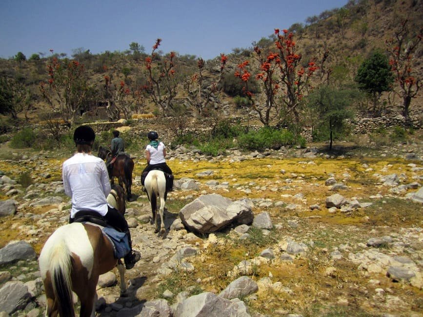 People horse riding through a rocky trail with flowering trees and dry hills