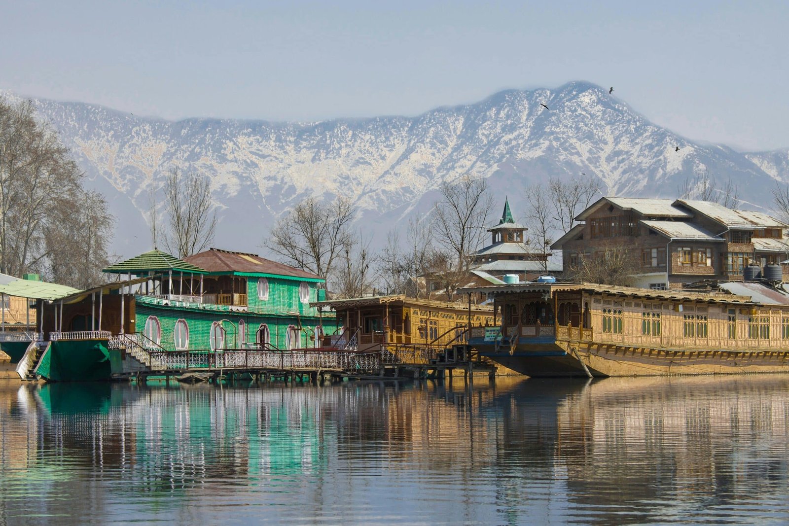 srinagar sightseeing with a view of houseboats parked at dal lake
