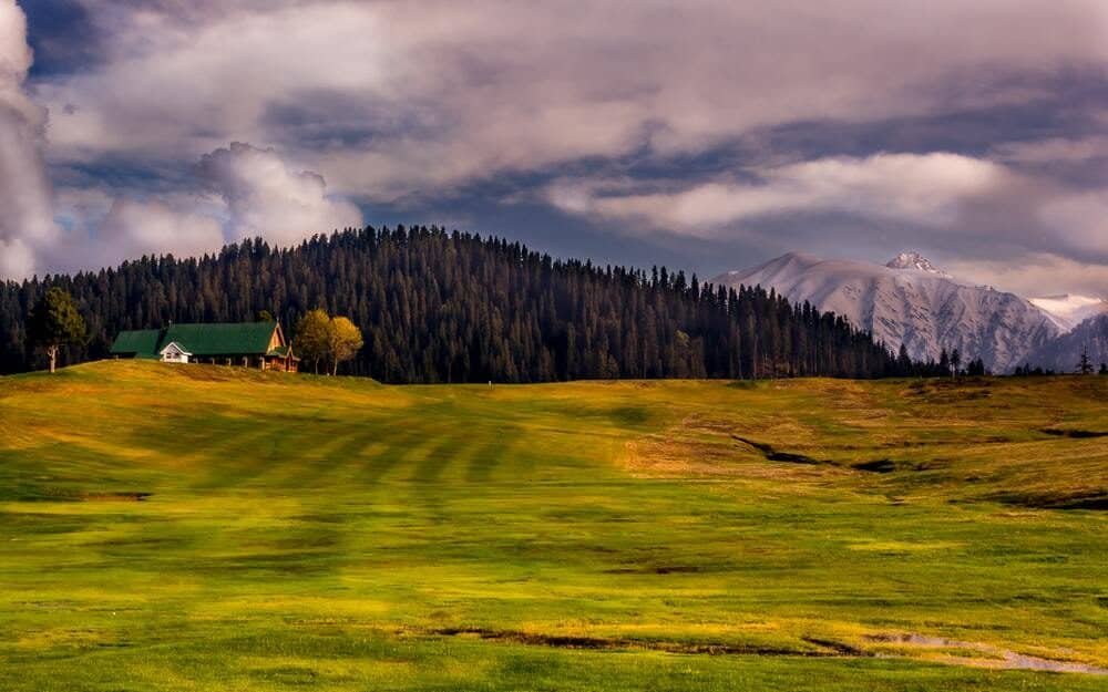 Meadow views of Khilanmarg in Gulmarg