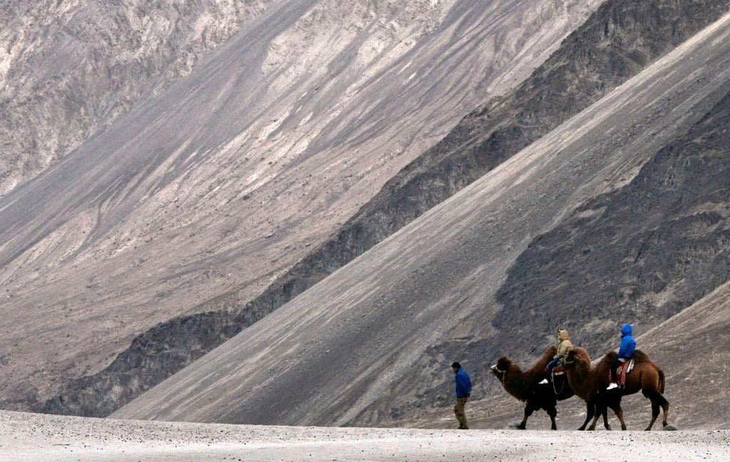 People riding yak in a barren mountains of ladakh