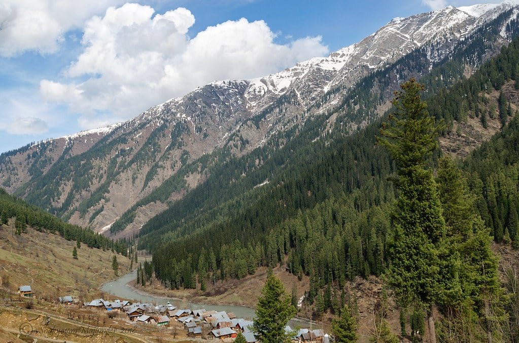 Snowy mountains with pine forests and a river flowing through a village in gurez valley