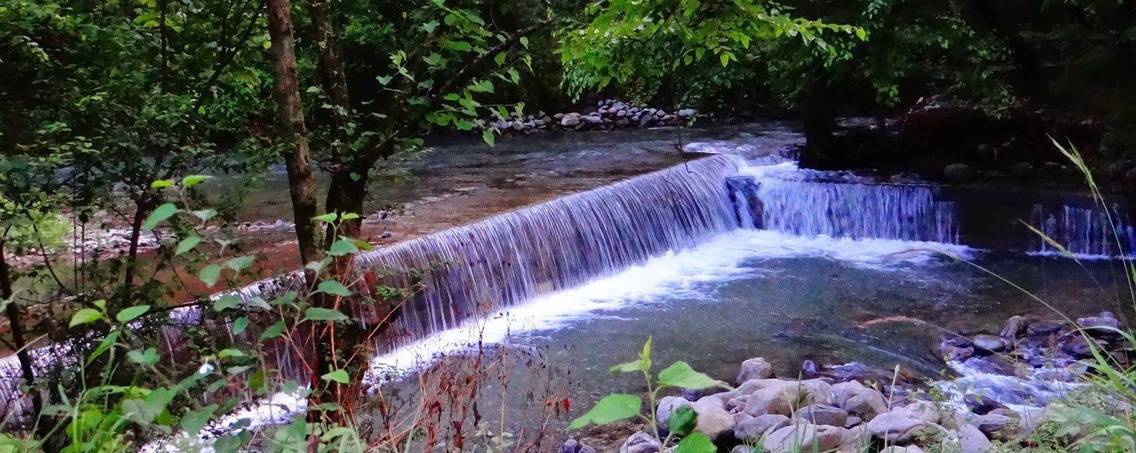 Small waterfall flowing through a forest in Dachigam National Park.