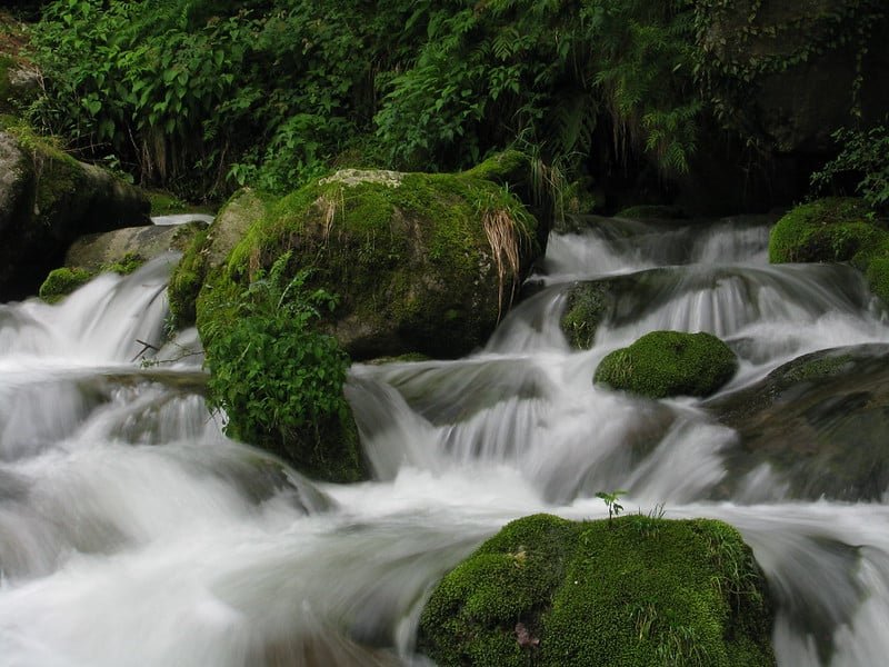 Freshwater stream flowing over moss-covered rocks in Kokernag