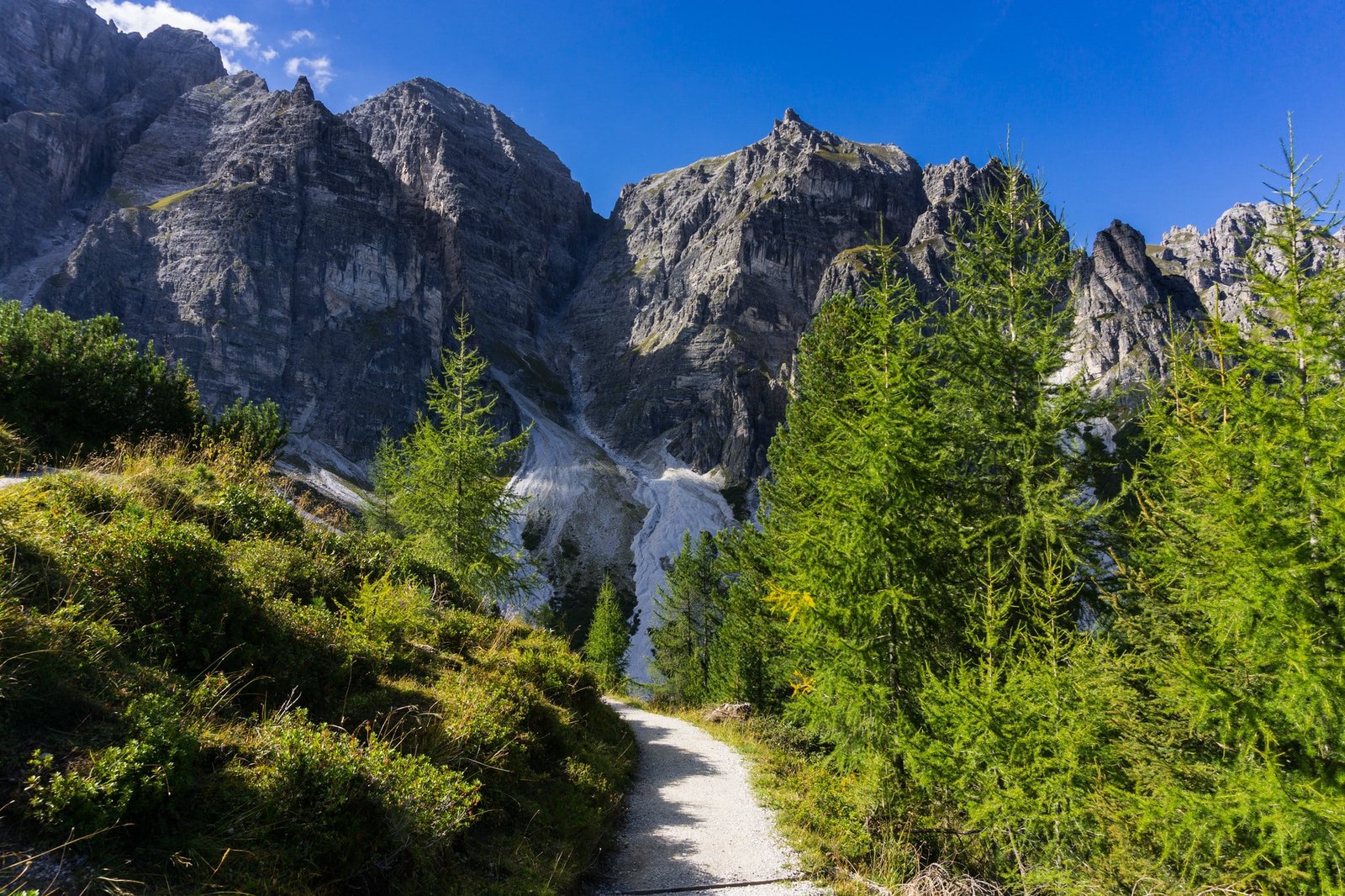 A winding hiking trail leading through green coniferous trees toward steep rocky mountains