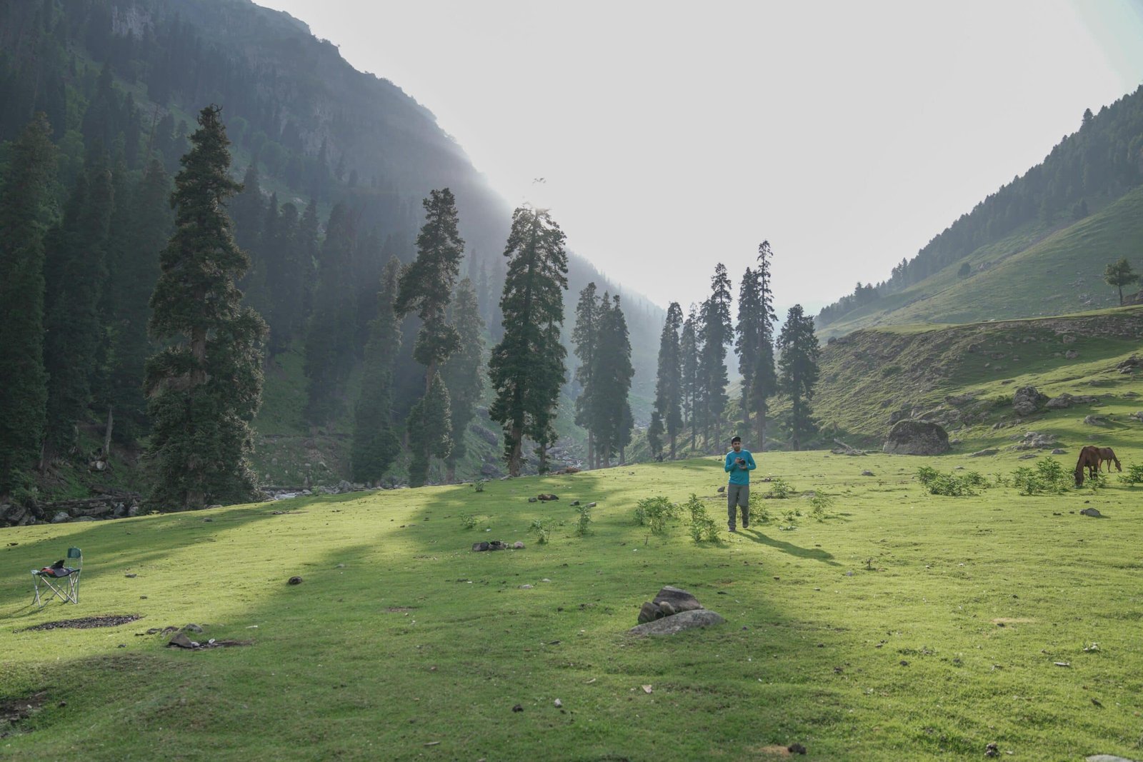 Green meadow in Kashmir with tall pine trees, morning sunlight, and a man standing peacefully