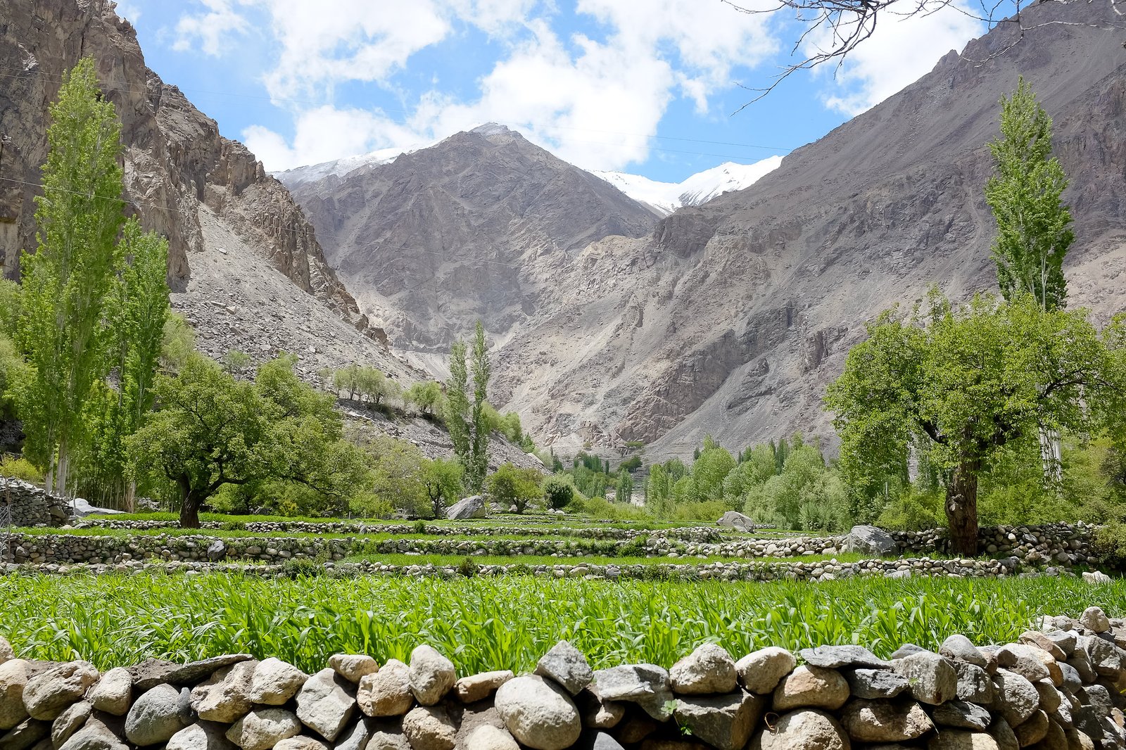 Green terraced fields surrounded by stone walls and trees with barren mountains in the backdrop under a partly cloudy sky