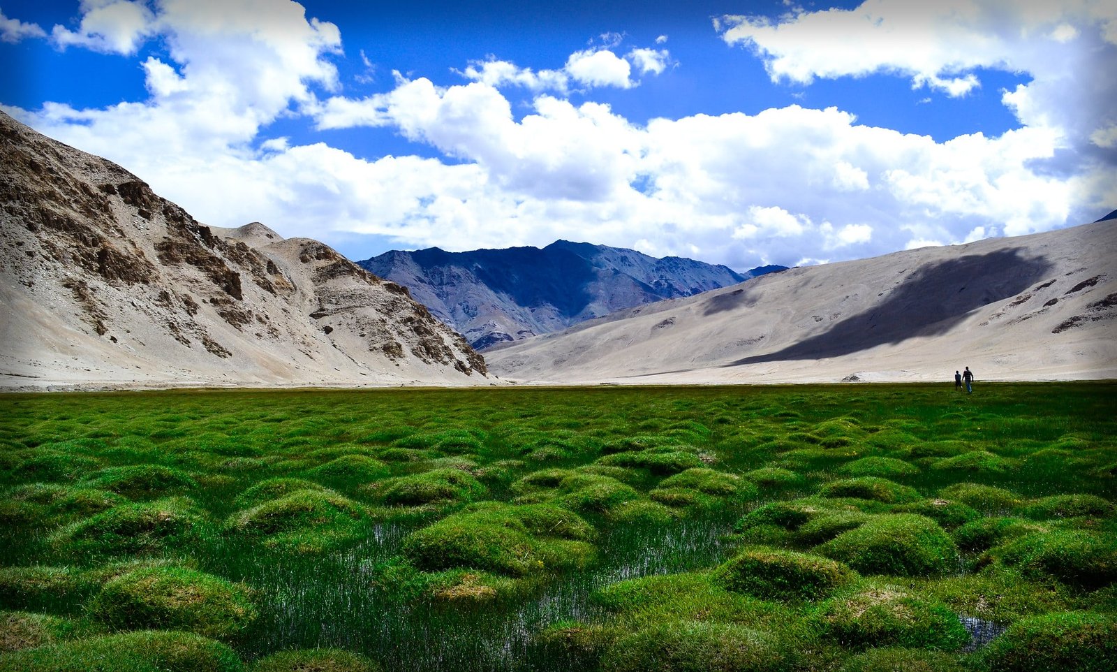 Grassy geothermal wetland surrounded by arid, rocky mountains under a bright blue sky with scattered clouds in Puga Valley