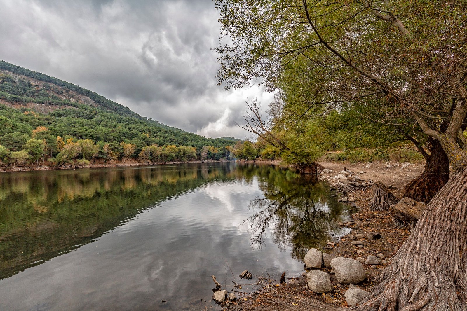 Scenic Riverside View with Forest and Mountains