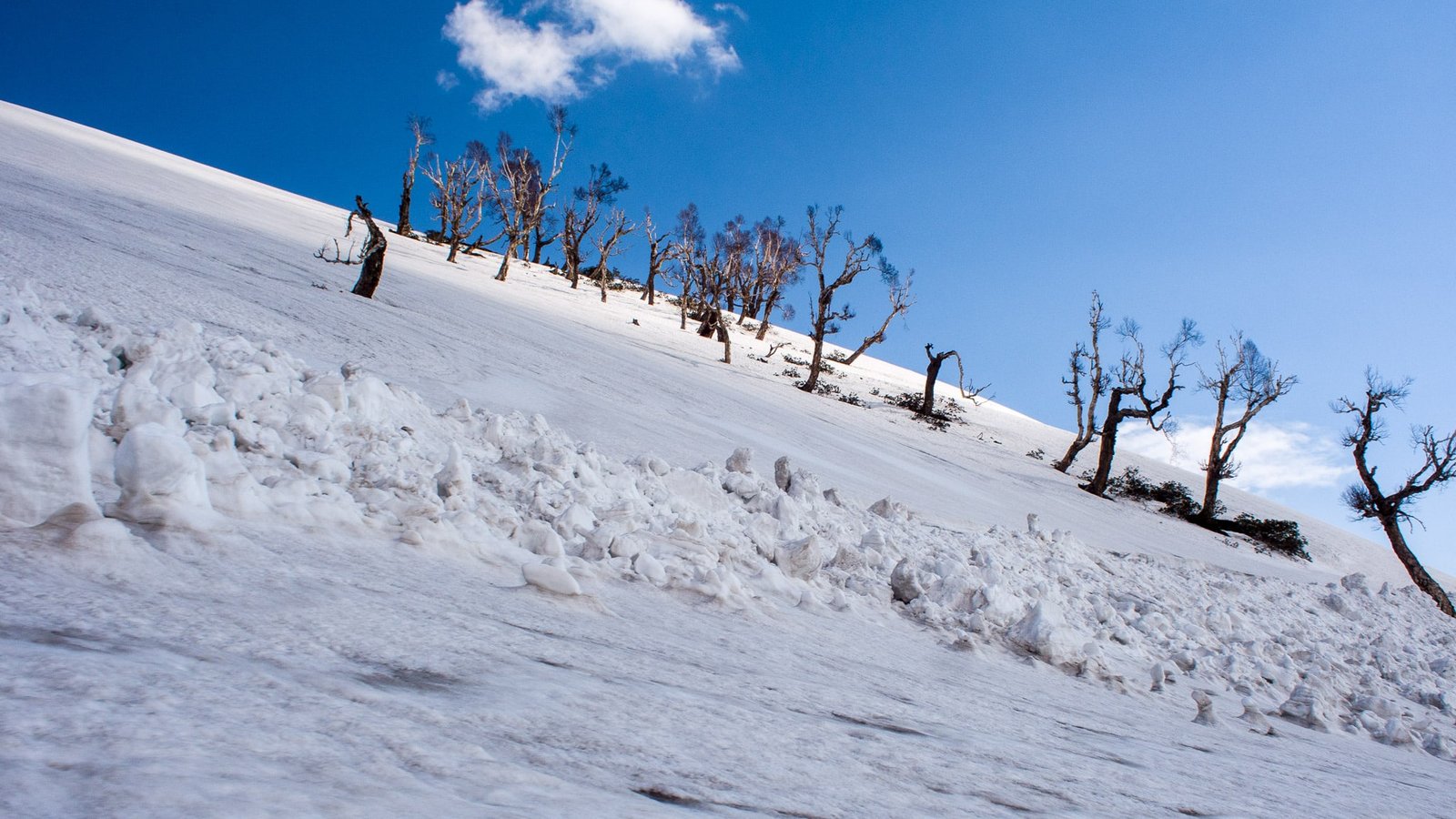 Snow-covered slope with leafless trees at Sinthan Top under a clear blue sky