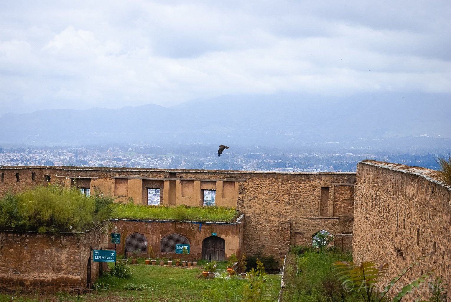 Ancient monument of kashmir Hari Parbat fort walls with a bird flying and mountains in the background.