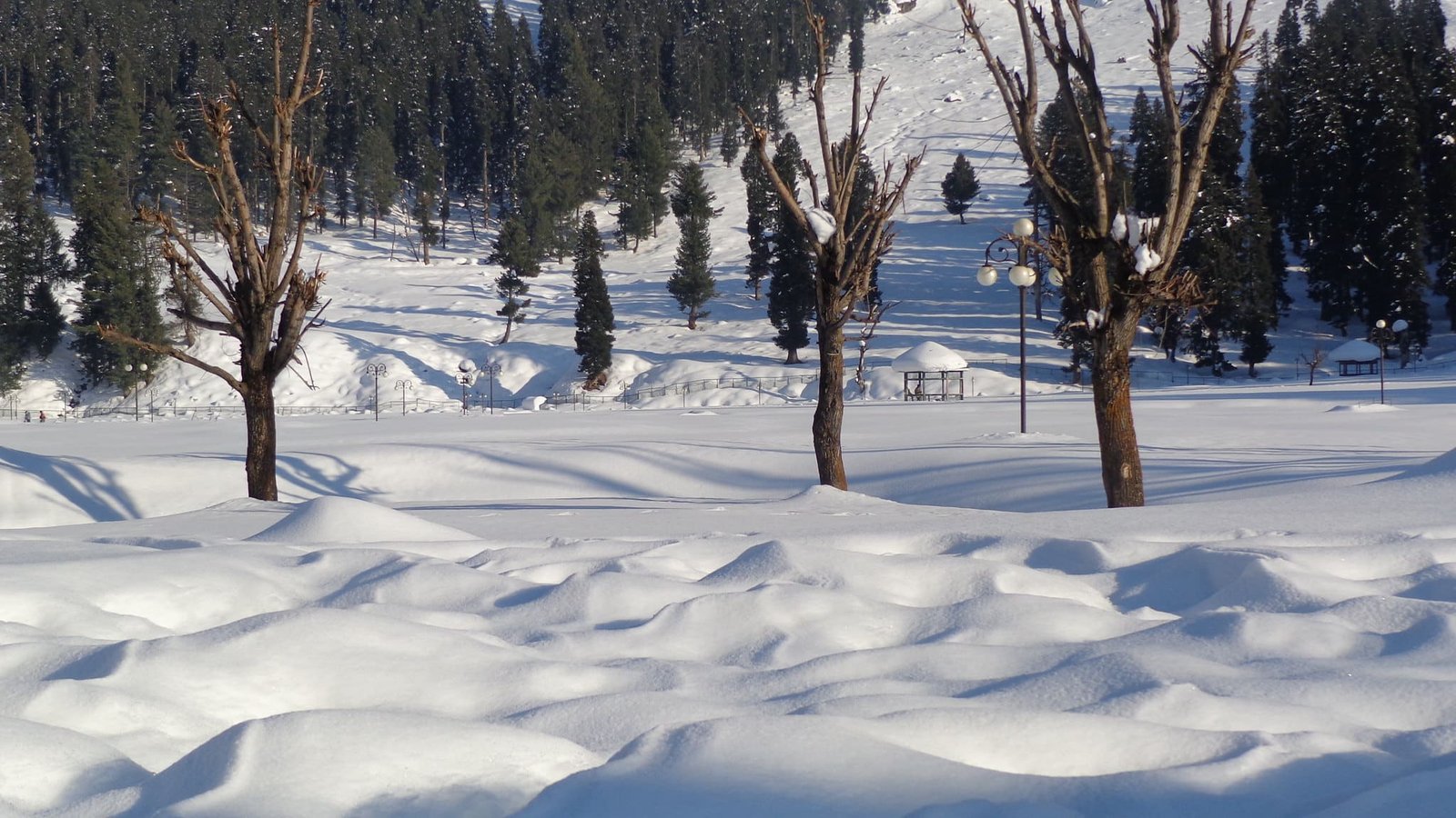 Snow-covered Betaab Valley with trees and lamp posts