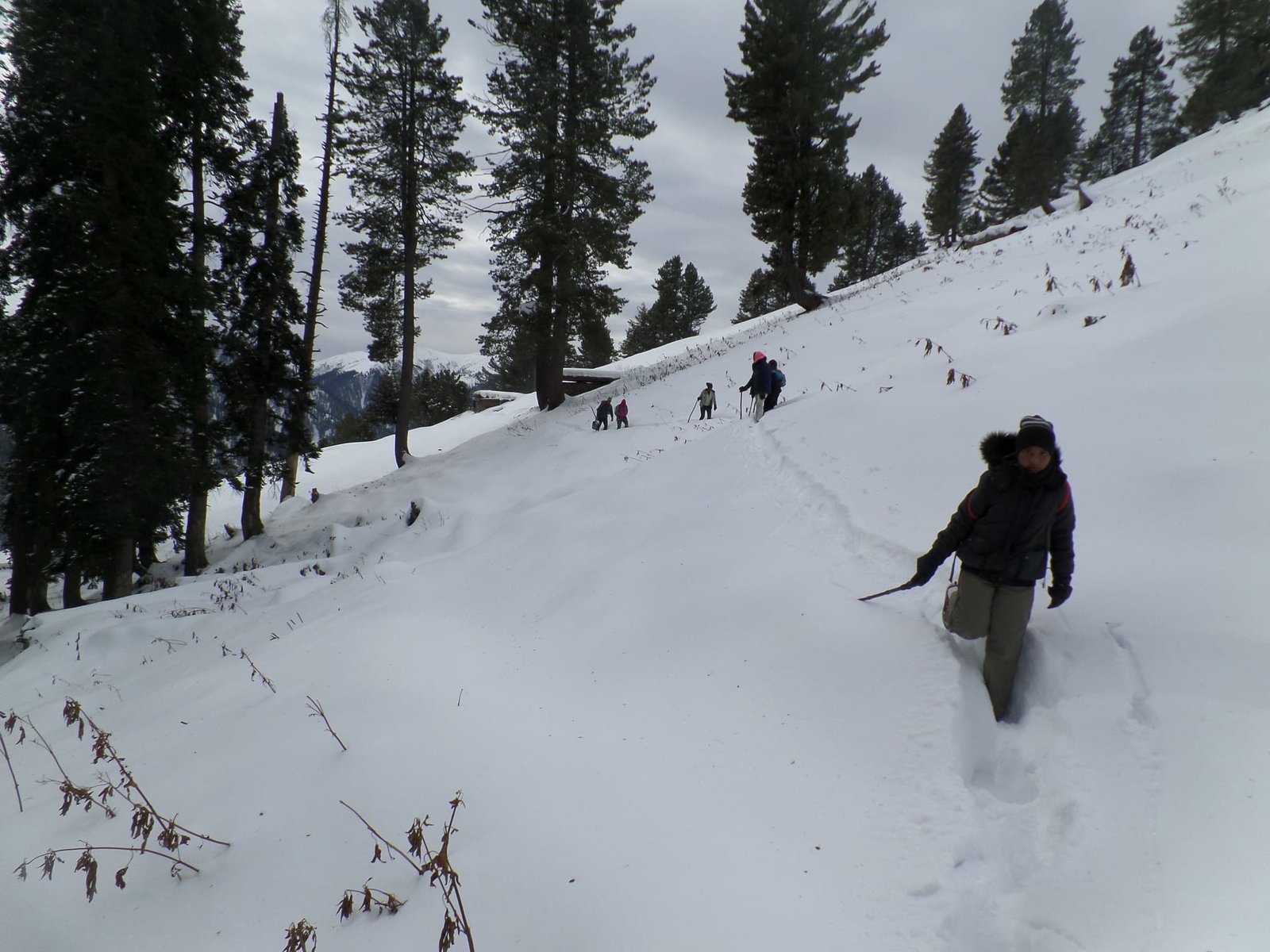 trekkers walking on snow in dhumail meadows