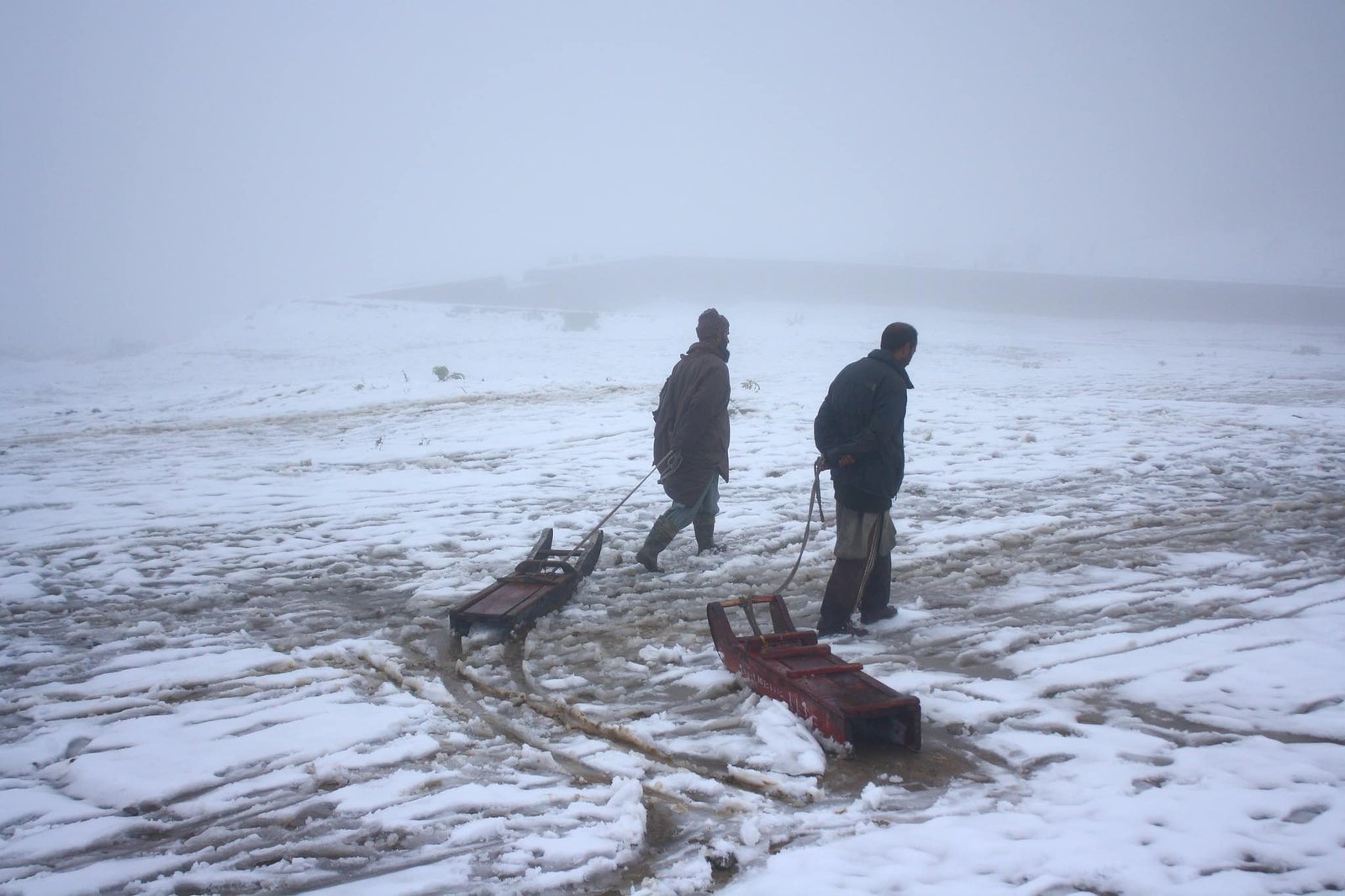 Two men pull wooden sleds through a slushy snow-covered field on a foggy day