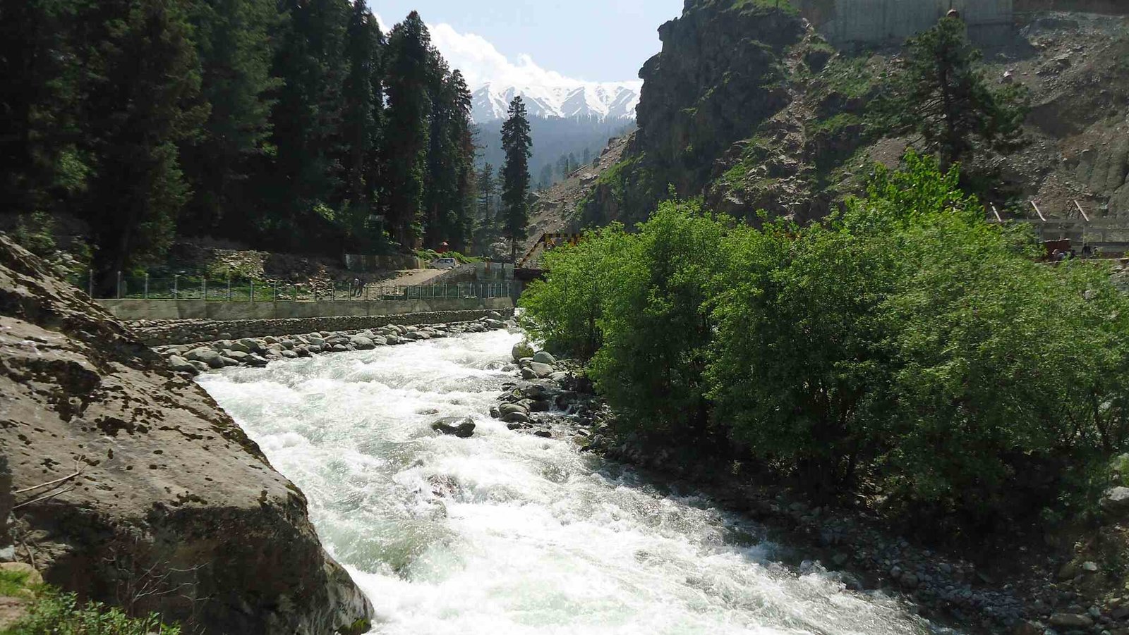 Mountain river flowing through a forested valley with snowy peaks in the background