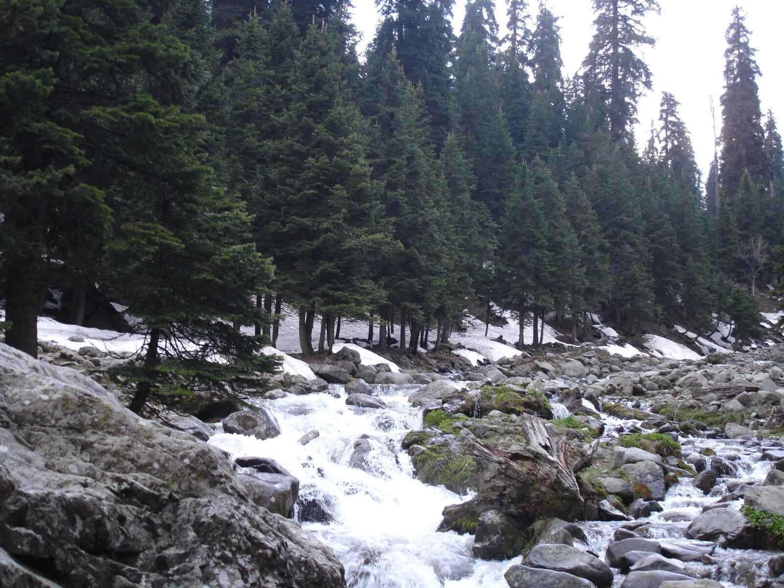 Snow-covered Ningle Nallah in Gulmarg during winter