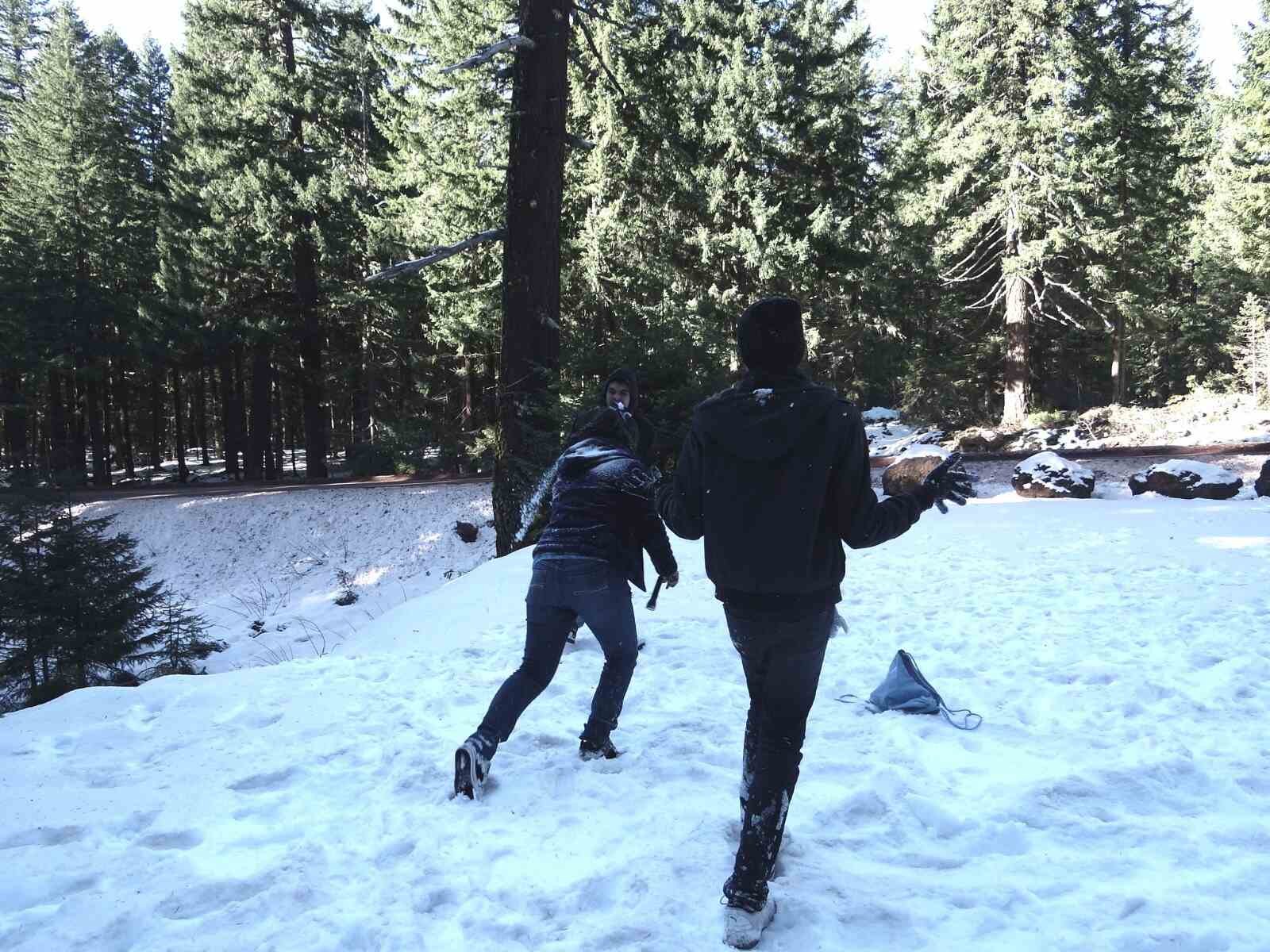 Two people are playing in the snow in a forested area of gulmarg