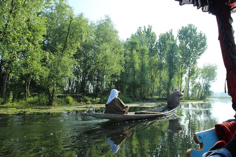 People in a wooden boat on Dal Lake surrounded by trees