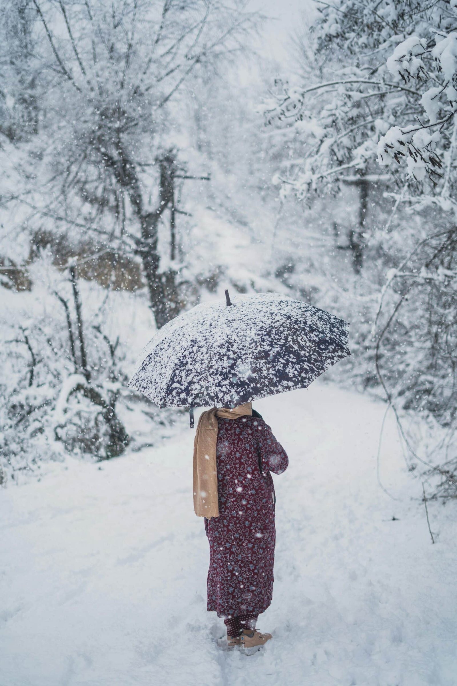 women is carrying the umbrella in heavy snowfall and wearing traditional kashmir clothes