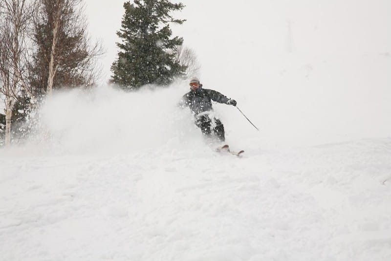 Skier in dark clothing skiing through fresh powder snow, creating a spray with trees in the background and snowfall in the air.