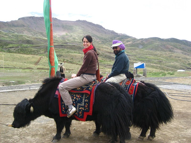 Two people riding yaks with colorful saddles in a mountainous area