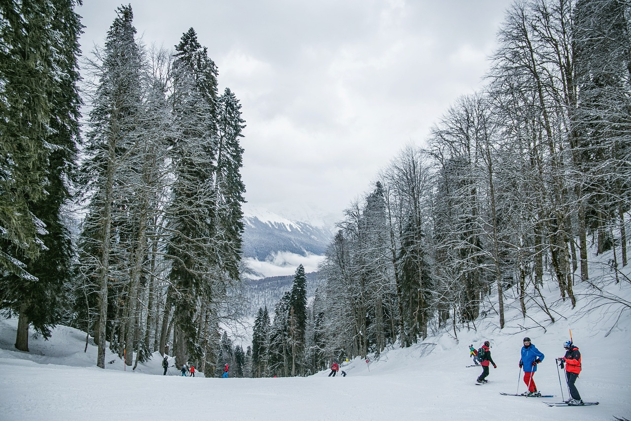 Skiers on a snow-covered trail surrounded by tall, snow-dusted trees In Patnitop