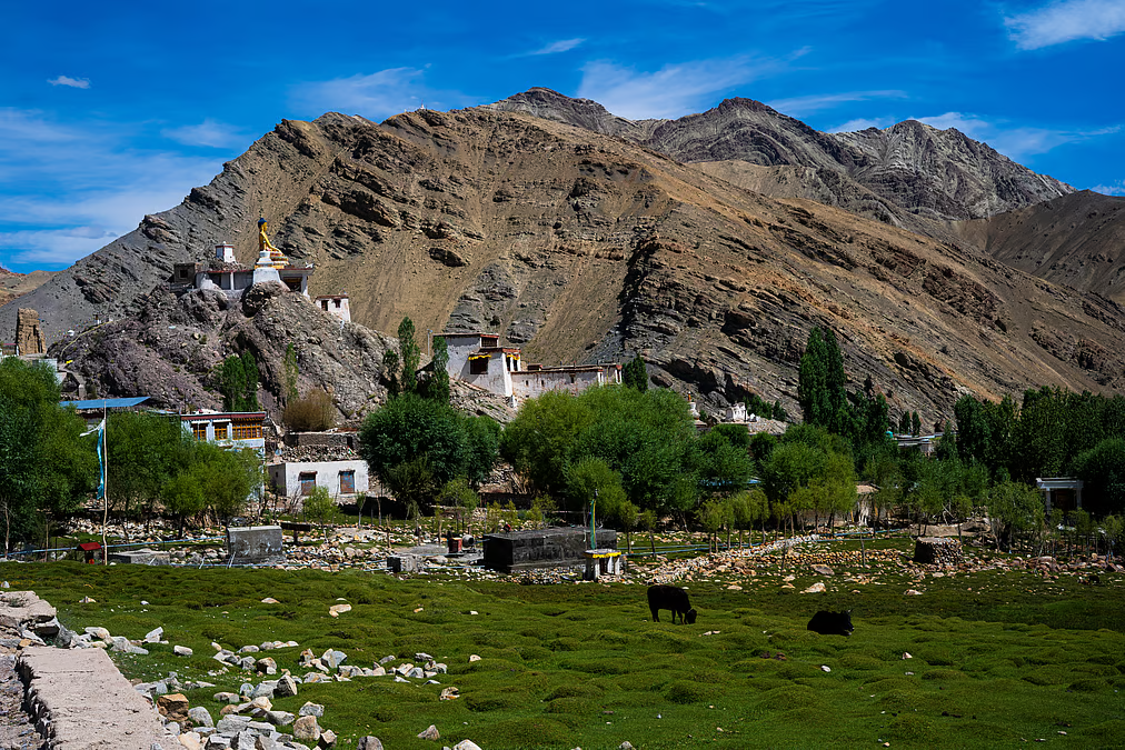 Hemis Shukpachan village with green fields, trees, and rocky mountains in the background
