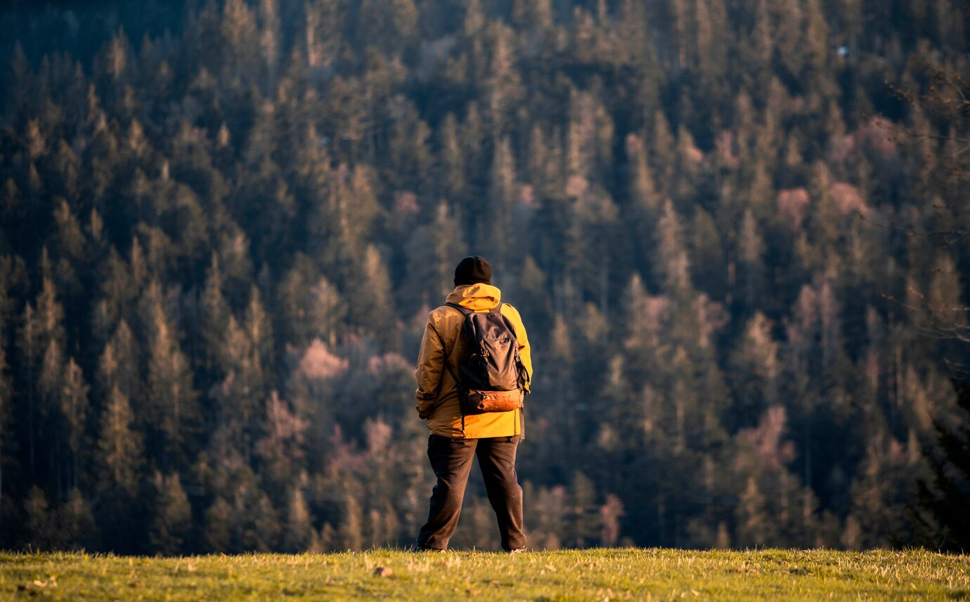 A person with a backpack standing on grass, looking at a dense forest in patnitop