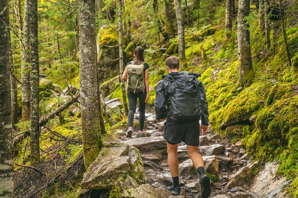 Two hikers walking through a mossy forest trail during a nature walk in Gulmarg